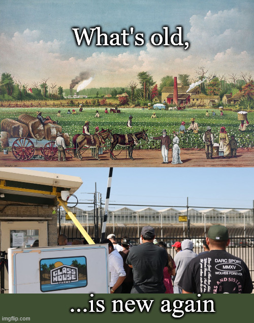What is it with Democrats, and Plantations? | What's old, ...is new again | made w/ Imgflip meme maker