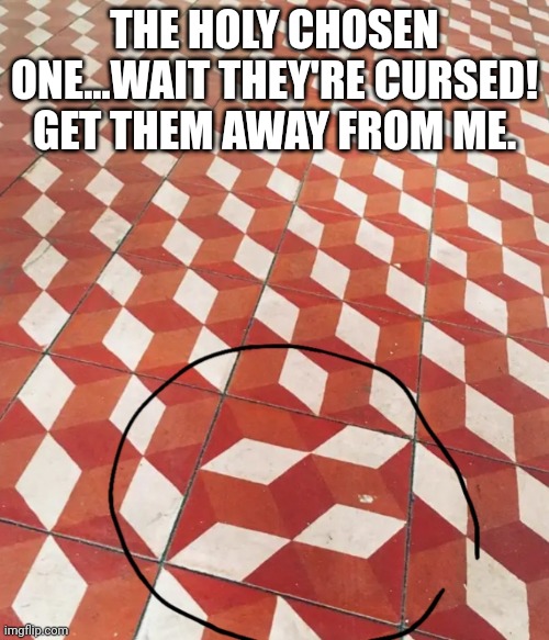 The chosen one | THE HOLY CHOSEN ONE...WAIT THEY'RE CURSED! GET THEM AWAY FROM ME. | image tagged in idk what to put here | made w/ Imgflip meme maker