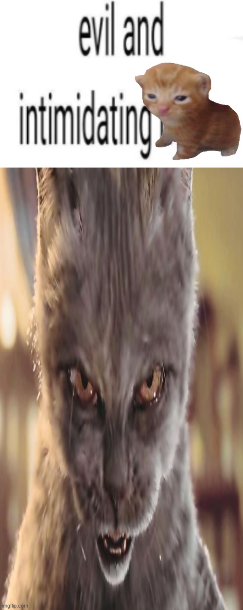 evil and intimidating horse | image tagged in evil and intimidating horse | made w/ Imgflip meme maker