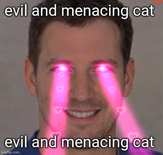 evil and menacing cat | evil and menacing cat; evil and menacing cat | image tagged in evil,cat | made w/ Imgflip meme maker