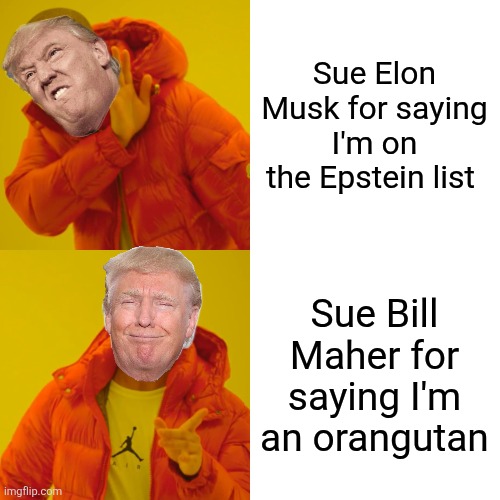 Again. WEIRD. | Sue Elon Musk for saying I'm on the Epstein list; Sue Bill Maher for saying I'm an orangutan | image tagged in memes,drake hotline bling | made w/ Imgflip meme maker