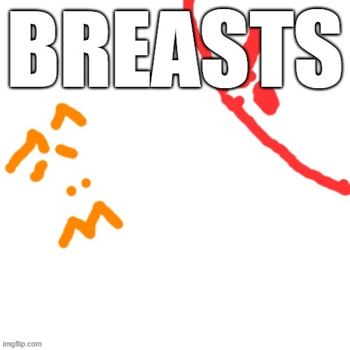 BREASTS | image tagged in breasts | made w/ Imgflip meme maker