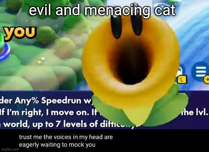 evil and menacing cat | evil and menacing cat | image tagged in evil,cat | made w/ Imgflip meme maker
