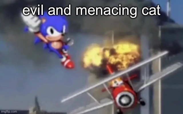 Sonic the Terrorist | evil and menacing cat | image tagged in sonic the terrorist | made w/ Imgflip meme maker