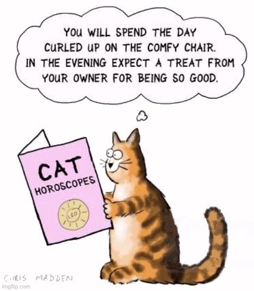 His horoscopes are usually the same every day | image tagged in cats,comics,horoscope | made w/ Imgflip meme maker