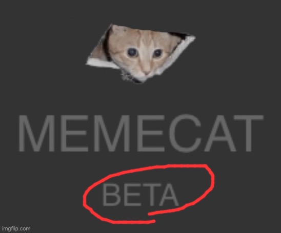 Been in beta for AGES | made w/ Imgflip meme maker