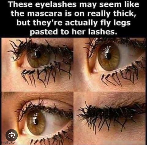image tagged in eye,eyes,what a terrible day to have eyes,fly,flies,cursed | made w/ Imgflip meme maker