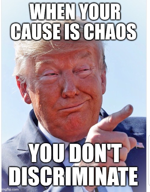Trump pointing | WHEN YOUR CAUSE IS CHAOS YOU DON'T DISCRIMINATE | image tagged in trump pointing | made w/ Imgflip meme maker