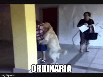 a05pu.gif