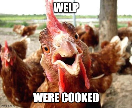 Chicken | WELP WERE COOKED | image tagged in chicken | made w/ Imgflip meme maker