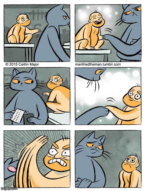 Trading places… | image tagged in cats,comics,human,trading places | made w/ Imgflip meme maker