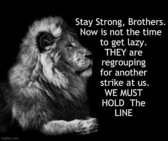 It’s up to US | Stay Strong, Brothers.
Now is not the time
  to get lazy.
  THEY are
  regrouping
  for another
   strike at us.
  WE MUST
  HOLD  The
  LINE; Marko | image tagged in the lion,hold the line,theyre not done trying to rule us,i refuse to surrender,they must surrender,we must take their freedom | made w/ Imgflip meme maker