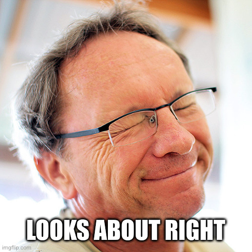 blinker | LOOKS ABOUT RIGHT | image tagged in blinker | made w/ Imgflip meme maker