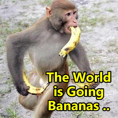 Bananas if you Can Afford them | image tagged in bananas if you can afford them | made w/ Imgflip meme maker
