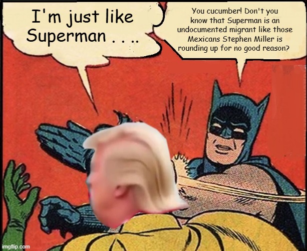 Batman Slapping Trump Superman | You cucumber! Don't you know that Superman is an undocumented migrant like those Mexicans Stephen Miller is rounding up for no good reason? I'm just like Superman . . .. | image tagged in batman slapping trump,superman,i hate donald trump,batman hates donald trump,trump sucks | made w/ Imgflip meme maker
