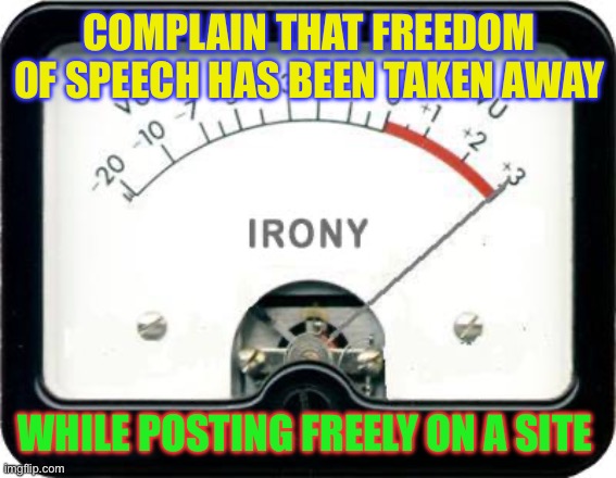 Irony Meter | COMPLAIN THAT FREEDOM OF SPEECH HAS BEEN TAKEN AWAY; WHILE POSTING FREELY ON A SITE | image tagged in irony meter | made w/ Imgflip meme maker