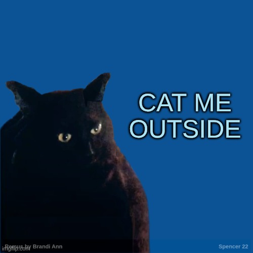 Contemplation Cat | CAT ME OUTSIDE | image tagged in contemplation cat | made w/ Imgflip meme maker