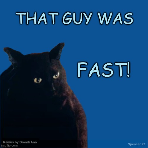 Contemplate Cat | THAT GUY WAS FAST! | image tagged in contemplate cat | made w/ Imgflip meme maker
