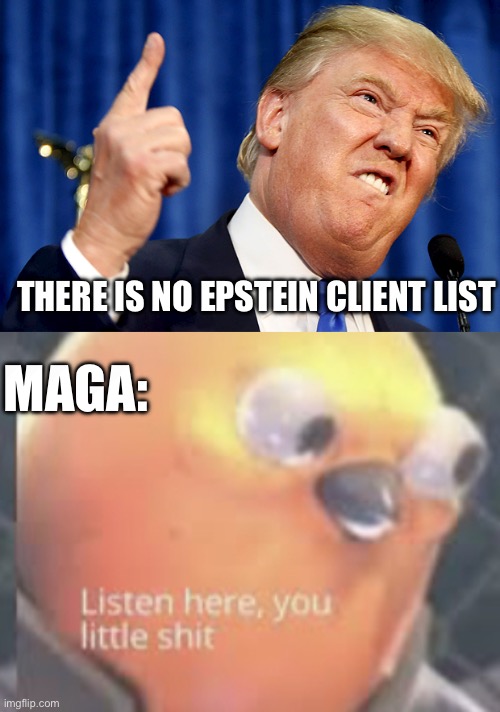 THERE IS NO EPSTEIN CLIENT LIST; MAGA: | image tagged in donald trump,listen here you little shit bird | made w/ Imgflip meme maker