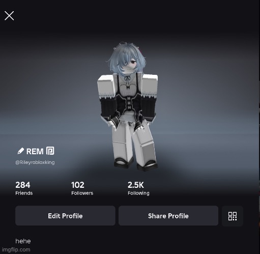 Keep on keeping on | image tagged in roblox | made w/ Imgflip meme maker