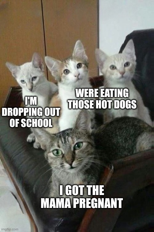 I'M DROPPING OUT OF SCHOOL I GOT THE MAMA PREGNANT WERE EATING THOSE HOT DOGS | made w/ Imgflip meme maker