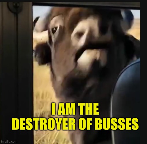 I AM THE DESTROYER OF BUSSES | made w/ Imgflip meme maker