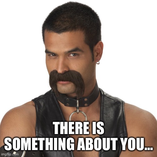 Pickup line | THERE IS SOMETHING ABOUT YOU… | image tagged in leather mustache | made w/ Imgflip meme maker