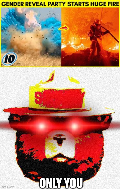 Only you could be so stupid | ONLY YOU | image tagged in stupid people,smokey the bear,only you,only you can prevent wildfires | made w/ Imgflip meme maker