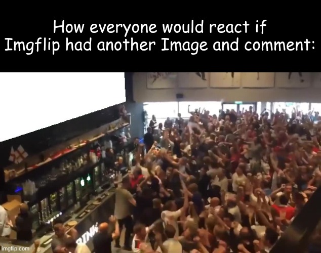 hype | How everyone would react if Imgflip had another Image and comment: | image tagged in crowd cheering | made w/ Imgflip meme maker