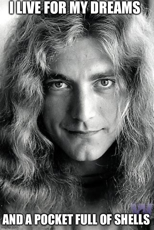 Pocket full | I LIVE FOR MY DREAMS; AND A POCKET FULL OF SHELLS | image tagged in robert plant led zeppelin | made w/ Imgflip meme maker
