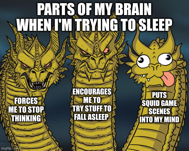 Sleeping is the reason I think of the Jump Rope game every night | PARTS OF MY BRAIN WHEN I'M TRYING TO SLEEP; ENCOURAGES ME TO TRY STUFF TO FALL ASLEEP; PUTS SQUID GAME SCENES INTO MY MIND; FORCES ME TO STOP THINKING | image tagged in three-headed dragon | made w/ Imgflip meme maker