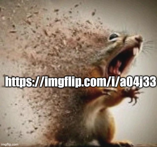https://imgflip.com/i/a04j33 | https://imgflip.com/i/a04j33 | image tagged in badass squirrel disintegrating | made w/ Imgflip meme maker