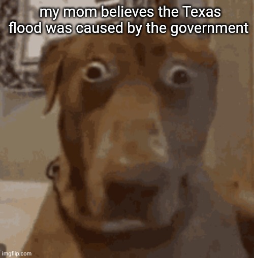 little does she know cloud seeding doesn't work like that | my mom believes the Texas flood was caused by the government | image tagged in wtf | made w/ Imgflip meme maker