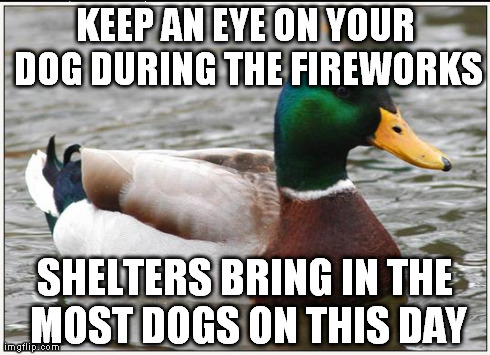 Actual Advice Mallard | KEEP AN EYE ON YOUR DOG DURING THE FIREWORKS SHELTERS BRING IN THE MOST DOGS ON THIS DAY | image tagged in memes,actual advice mallard,AdviceAnimals | made w/ Imgflip meme maker