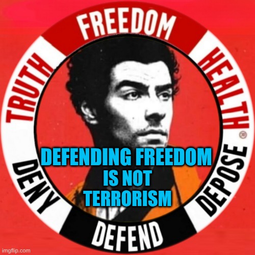 We The People!We Are Not Terrorists! | IS NOT TERRORISM; DEFENDING FREEDOM | image tagged in luigi depose,freedom,justice,healthcare,criminals,we are not terrorists | made w/ Imgflip meme maker