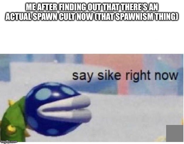 PLEASE THERES NO WAY SOME OF US ARE THIS STUPID | ME AFTER FINDING OUT THAT THERE’S AN ACTUAL SPAWN CULT NOW (THAT SPAWNISM THING) | image tagged in say sike right now | made w/ Imgflip meme maker