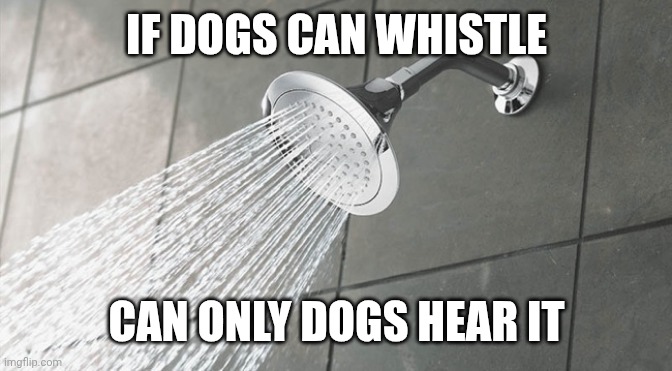 Recent shower thought | IF DOGS CAN WHISTLE; CAN ONLY DOGS HEAR IT | image tagged in shower thoughts,memes,funny | made w/ Imgflip meme maker