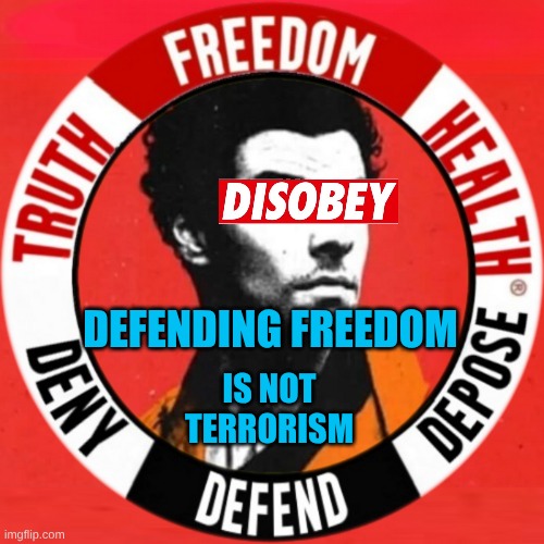 Defending Freedom. Censorship Bypass Version | DEFENDING FREEDOM; IS NOT TERRORISM | image tagged in luigi depose,we are not terrorists,freedom,insurance injustice,medical mafia,criminals | made w/ Imgflip meme maker