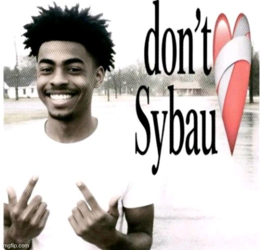 Don't Sybau | image tagged in don't sybau | made w/ Imgflip meme maker