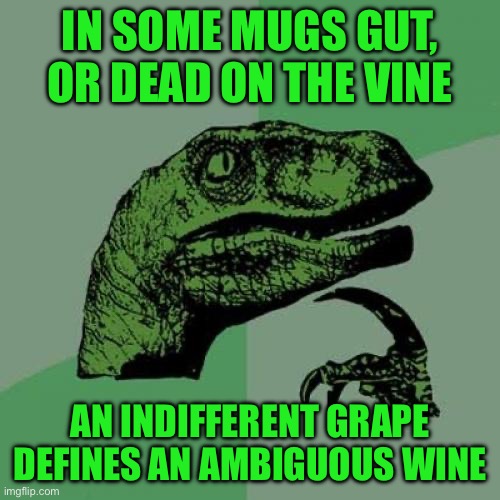 Philosoraptor | IN SOME MUGS GUT, OR DEAD ON THE VINE; AN INDIFFERENT GRAPE DEFINES AN AMBIGUOUS WINE | image tagged in memes,philosoraptor | made w/ Imgflip meme maker