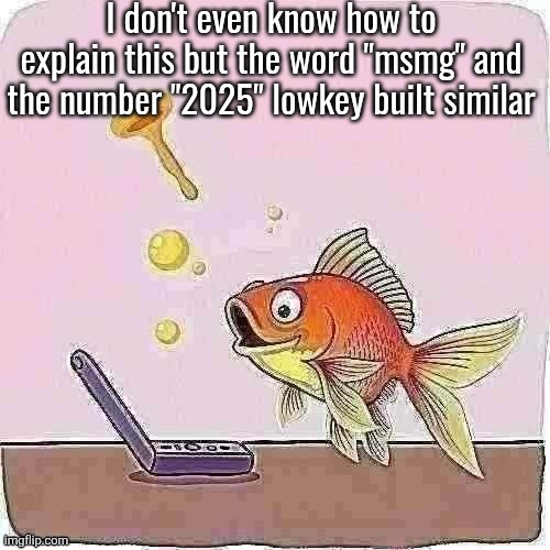 Goldfish cheering at flip phone | I don't even know how to explain this but the word "msmg" and the number "2025" lowkey built similar | image tagged in goldfish cheering at flip phone | made w/ Imgflip meme maker