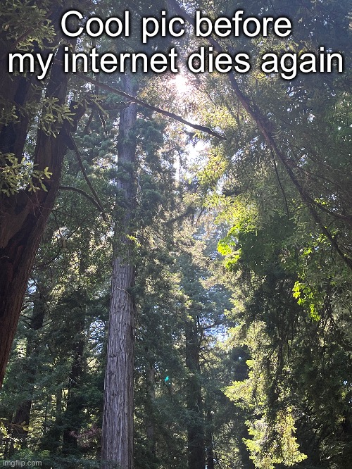 Cool pic before my internet dies again | made w/ Imgflip meme maker