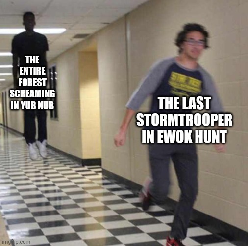 floating boy chasing running boy | THE ENTIRE FOREST SCREAMING IN YUB NUB; THE LAST STORMTROOPER IN EWOK HUNT | image tagged in floating boy chasing running boy | made w/ Imgflip meme maker