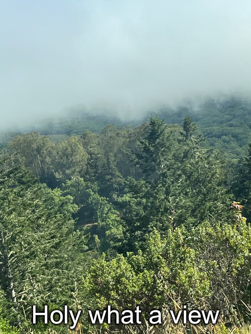 Holy what a view | made w/ Imgflip meme maker
