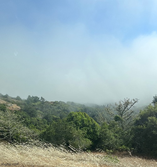 I hate Cliffside driving but the view is worth it especially with the fog | made w/ Imgflip meme maker
