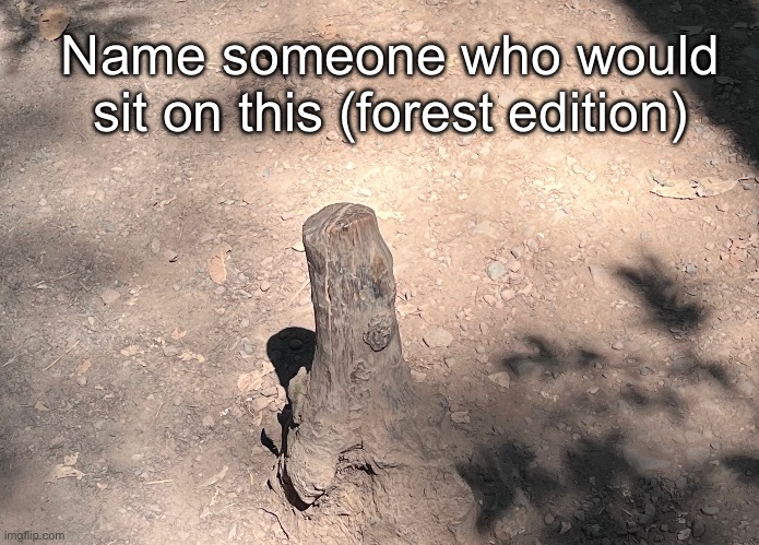 Name someone who would sit on this (forest edition) | made w/ Imgflip meme maker