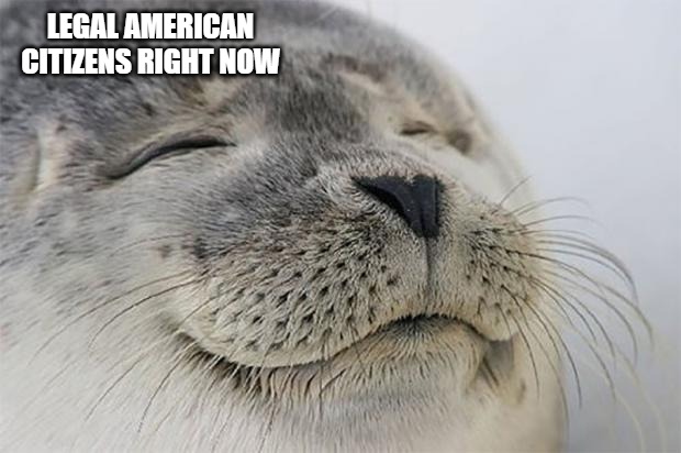You don't have to worry if you're a legal, law-abiding citizen. | LEGAL AMERICAN CITIZENS RIGHT NOW | image tagged in memes,satisfied seal,legal american citizens,ice,maga | made w/ Imgflip meme maker