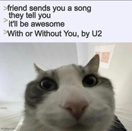 ive never really liked that song | friend sends you a song; they tell you it'll be awesome; With or Without You, by U2 | image tagged in cat looks inside | made w/ Imgflip meme maker