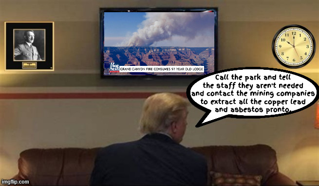 Trump the park is mine | Call the park and tell the staff they aren't needed and contact the mining companies
 to extract all the copper lead 
and asbestos pronto. | image tagged in trump the park is mine,grand canyon fire,north rim lodge burns down,copper lead asbestos uranuim,maga mining | made w/ Imgflip meme maker