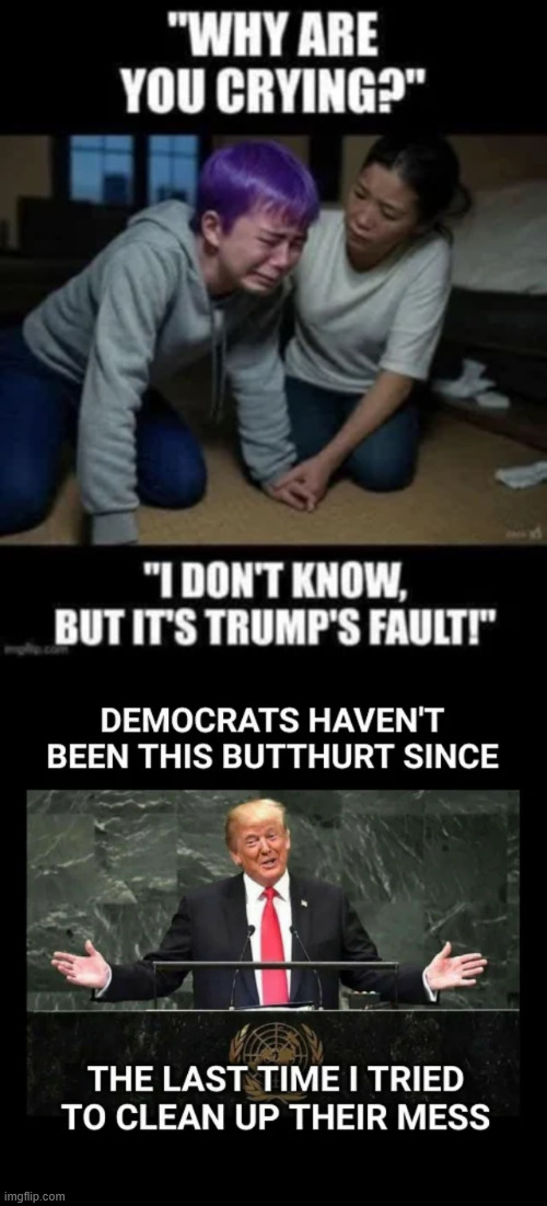 It's all Trump's fault. Lib cult 101 | image tagged in one track sound bite,it is trumps fault | made w/ Imgflip meme maker